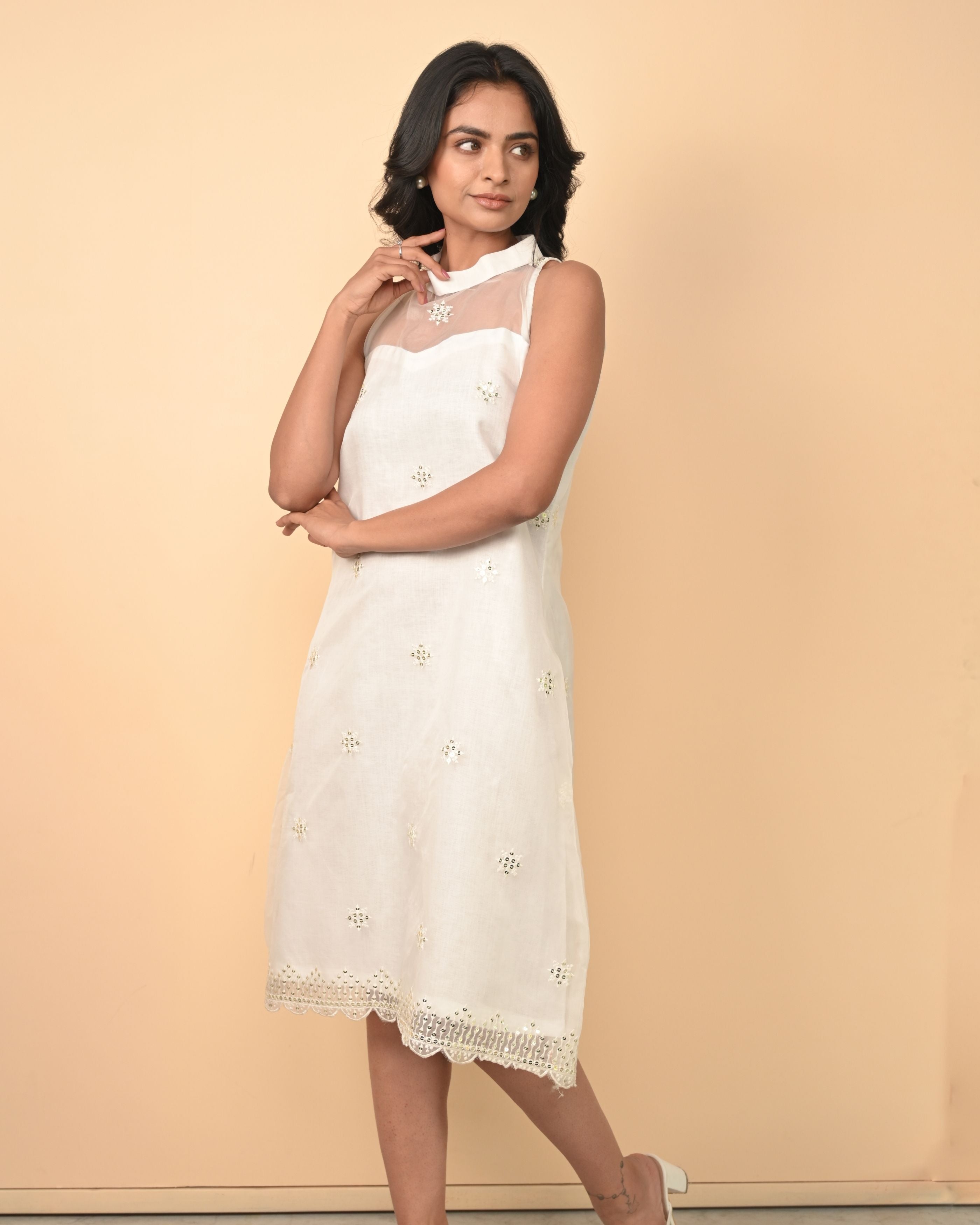 Organza Dress With Pure Linen Lining