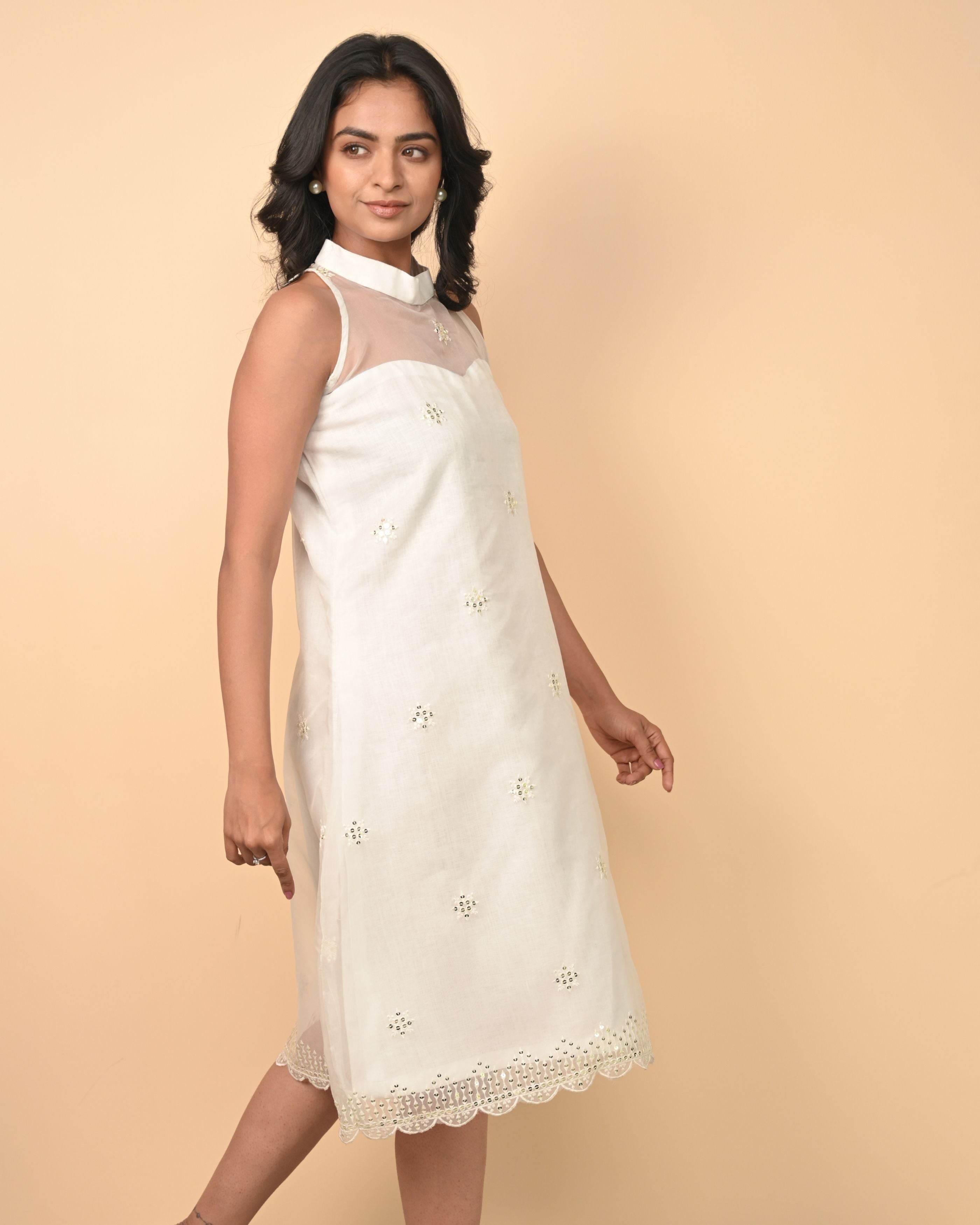 Organza Dress With Pure Linen Lining