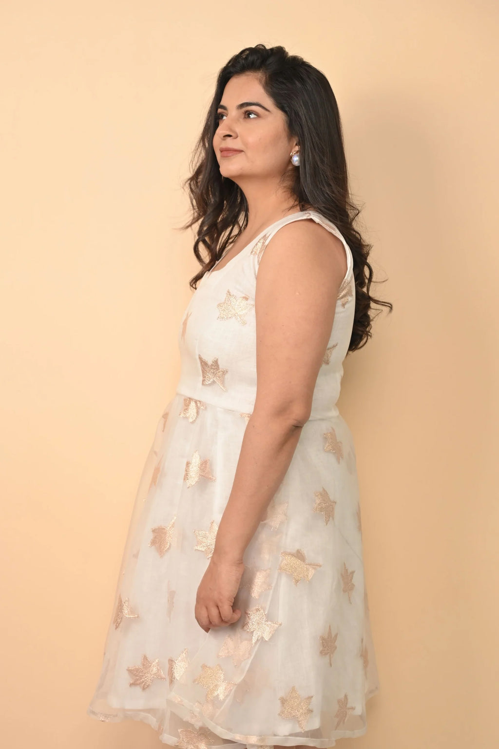 Organganza Exclusive Dress With Linen Lining